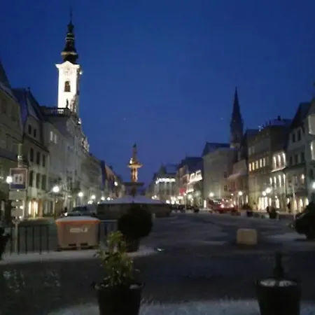 Lejlighed Top1, 2 Schlafzimmer 3 Betten Bestrooms Eu Steyr