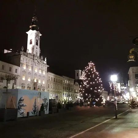 Apartmán Top1, 2 Schlafzimmer 3 Betten Bestrooms Eu Steyr